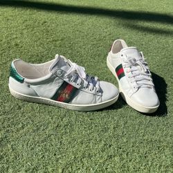 Gucci Ace Bees