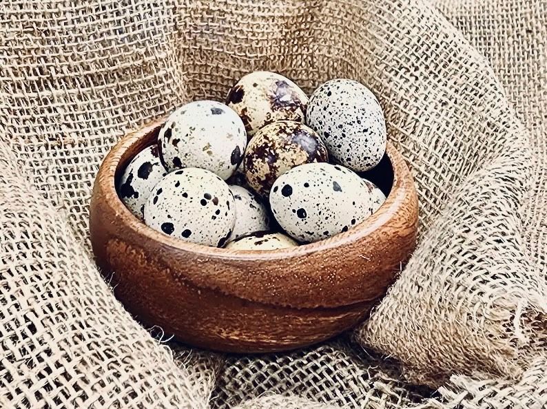 Fresh Quail Eggs Daily