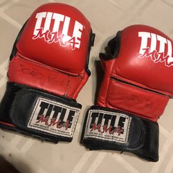 Title Kids MMA Gloves Leather 