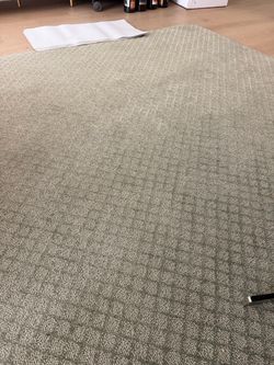 Sage green rug