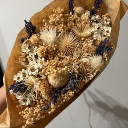 Dried Italian White Bleached Flowers 
