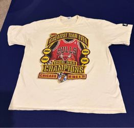Vintage 1996 Chicago Bulls NBA Champions T-Shirt