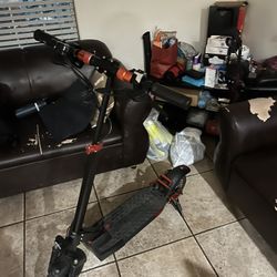 Electric Scooters