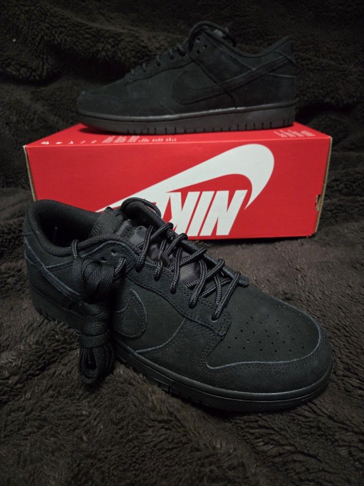 Dunks Sz 10.5 