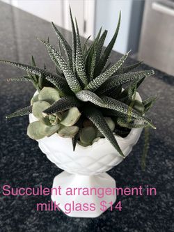 Spring Cleaning Sale!