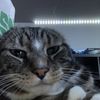 Sam