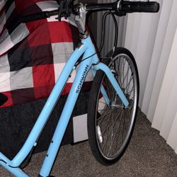 Schwinn Mountain Bike