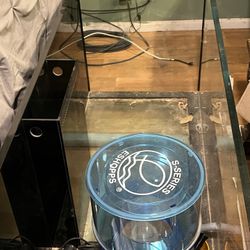 Fish Tank New