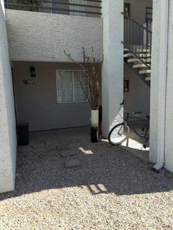 Large Vase With Tall Branches And Lights
