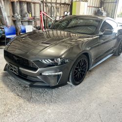 2019 Ford Mustang