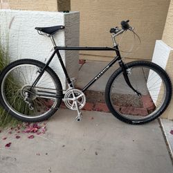 Raleigh ATB Bighorn 26” Cruiser 12 Speed MTB Vintage Steel Klunker Brooks Saddle 