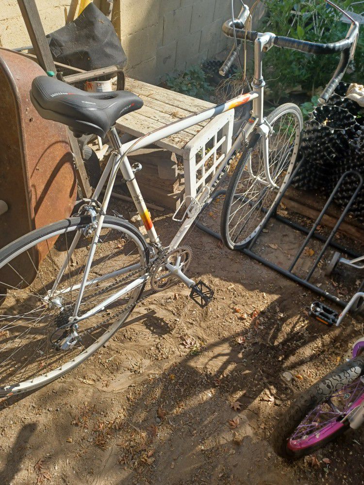 Vintage Peugeot Road Bike