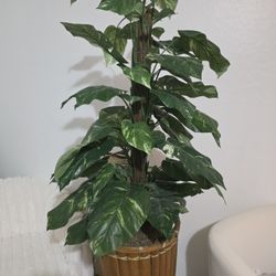 Decoration 