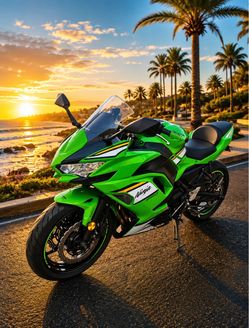 2025 KAWASAKI NINJA 650 RACING TEAM EDITION