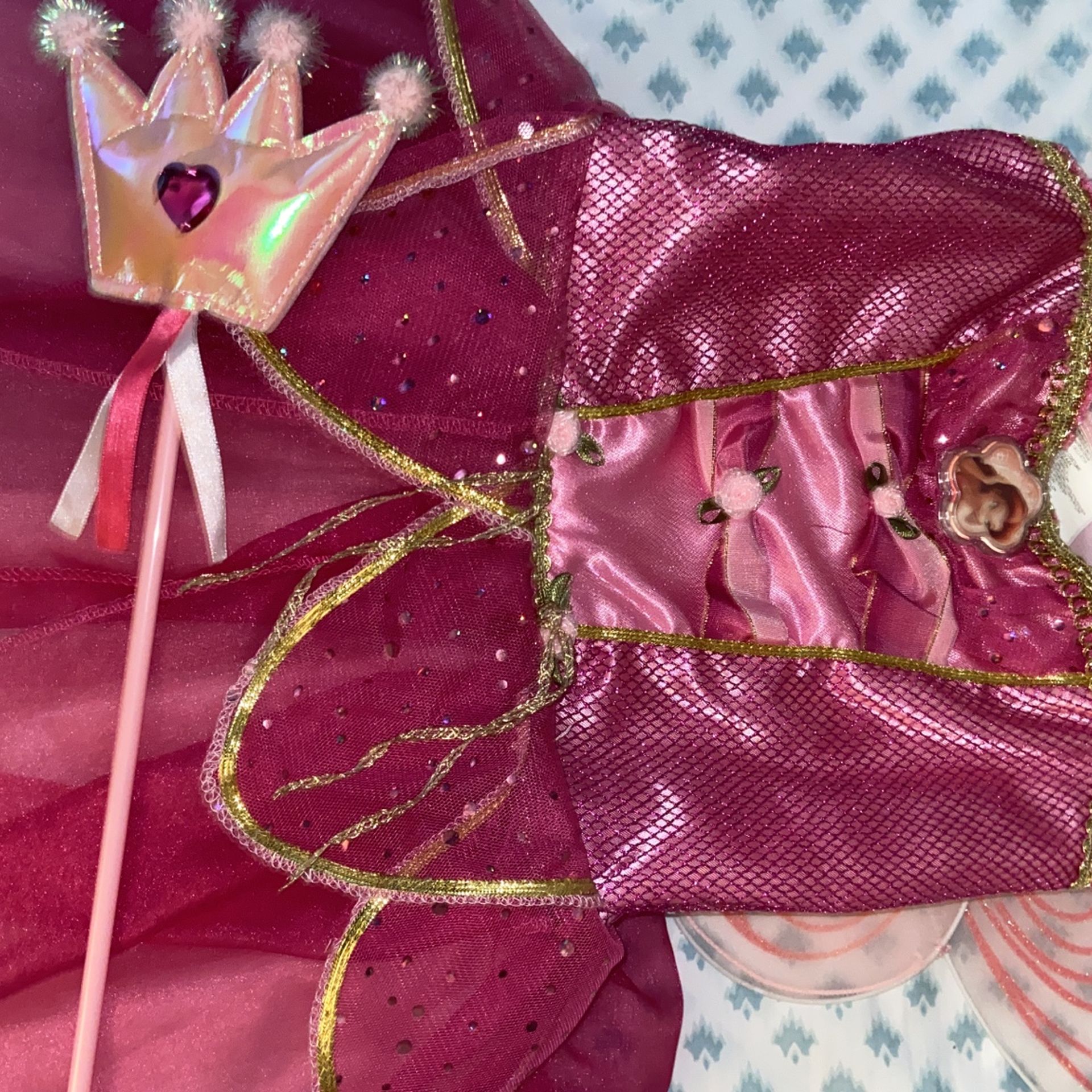 Rosetta Fairy Costume