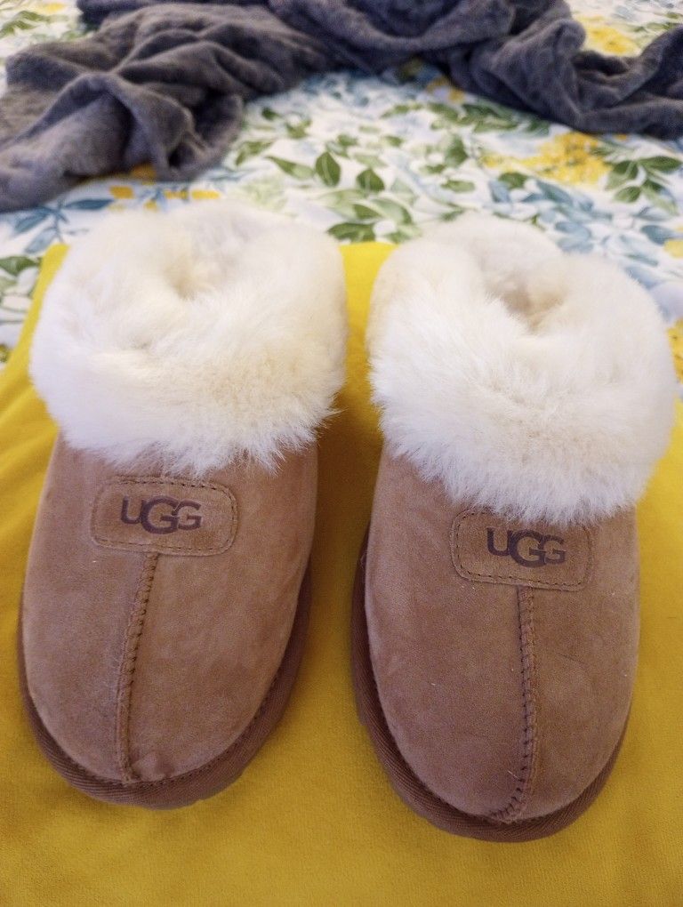 Ugg Slippers