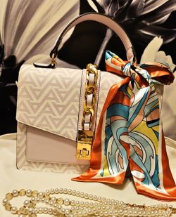 Aldo Bag NEW💄