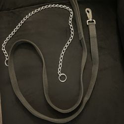 Dog Leash And Chain