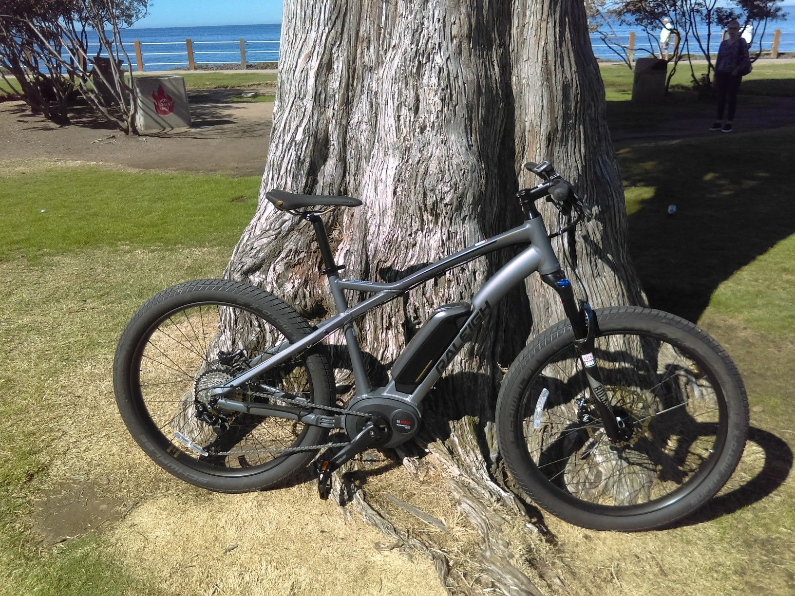 Raleigh lore ie for sale sales