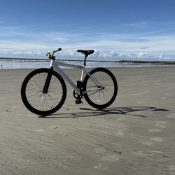 Leader 721 Fixed Gear 