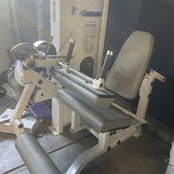 Gym Equipment Leg Extension