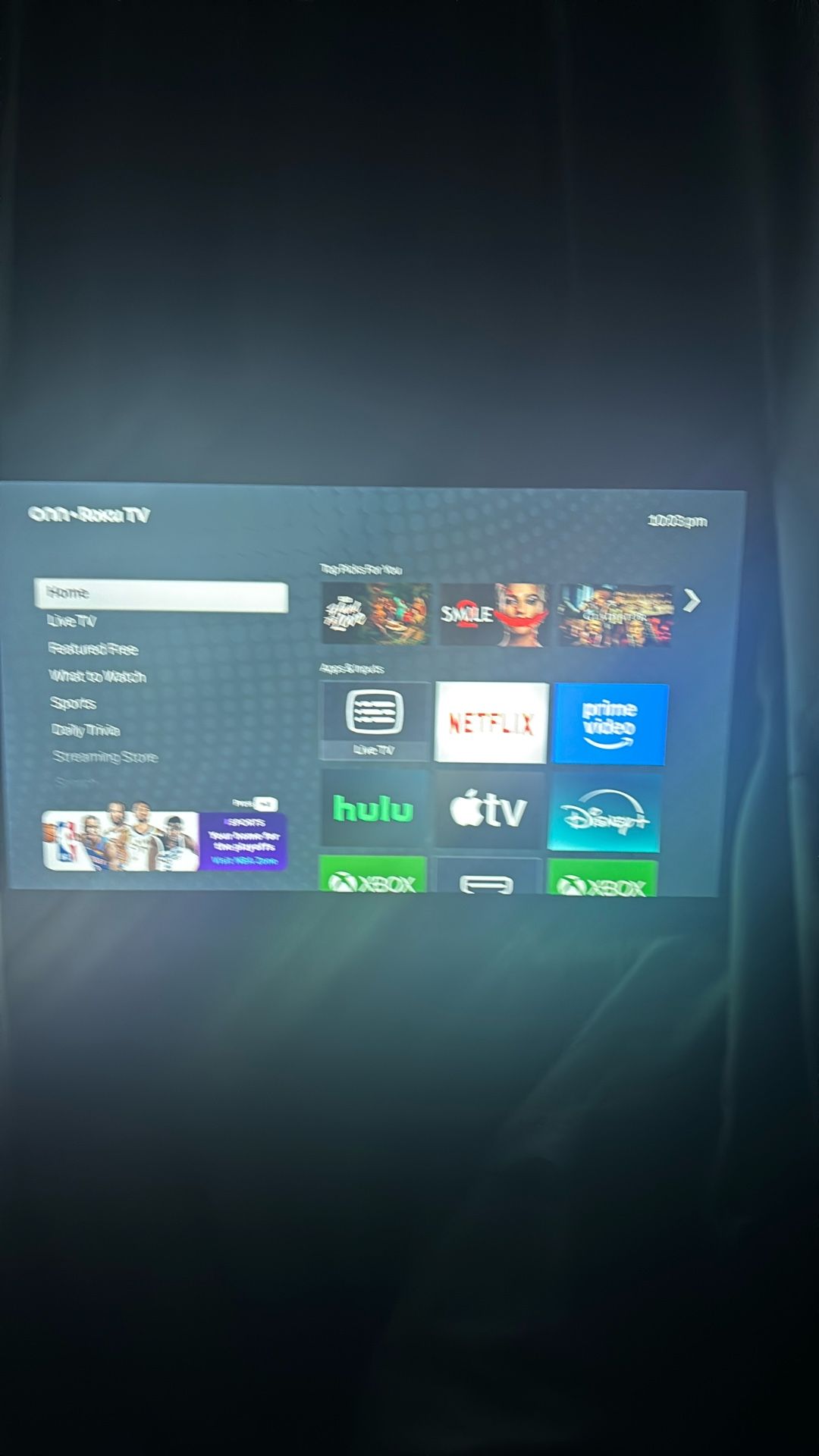 24 Inch Roku Tv