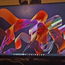100hz Monitor 23"
