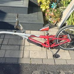 Gary Fisher Freeloader bike trailer 
