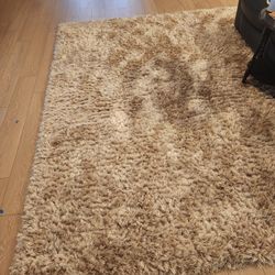 Area Rug 