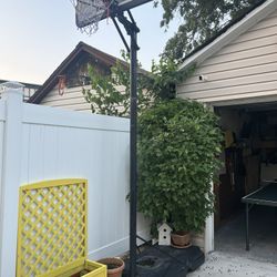 Lifetime Basketball Hoop
