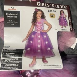 Enchanted Princess Costume