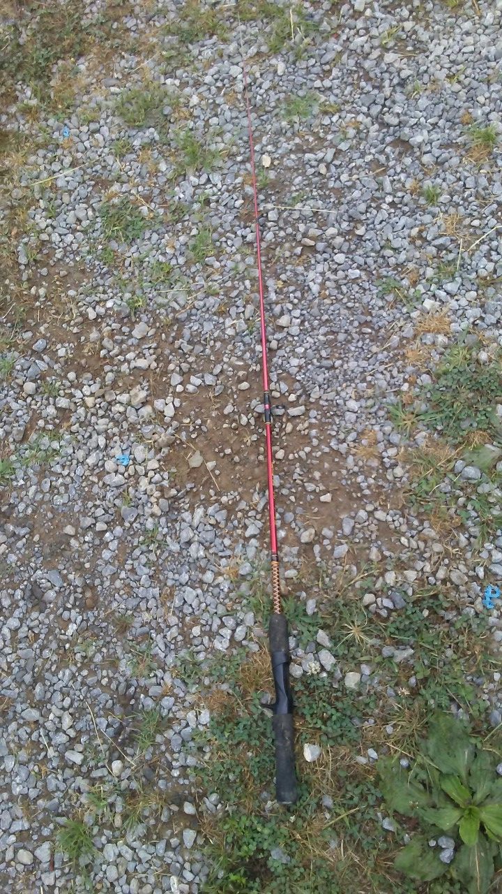 Ugly stick junior rod