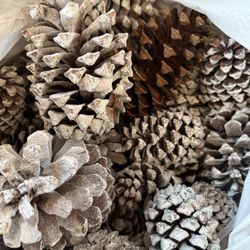 Bag of Frosted Pine Cones
