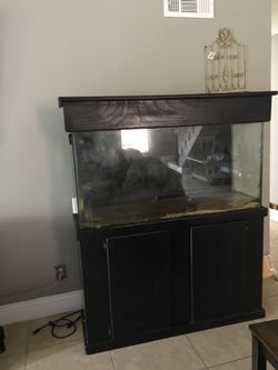 Fish Tank
