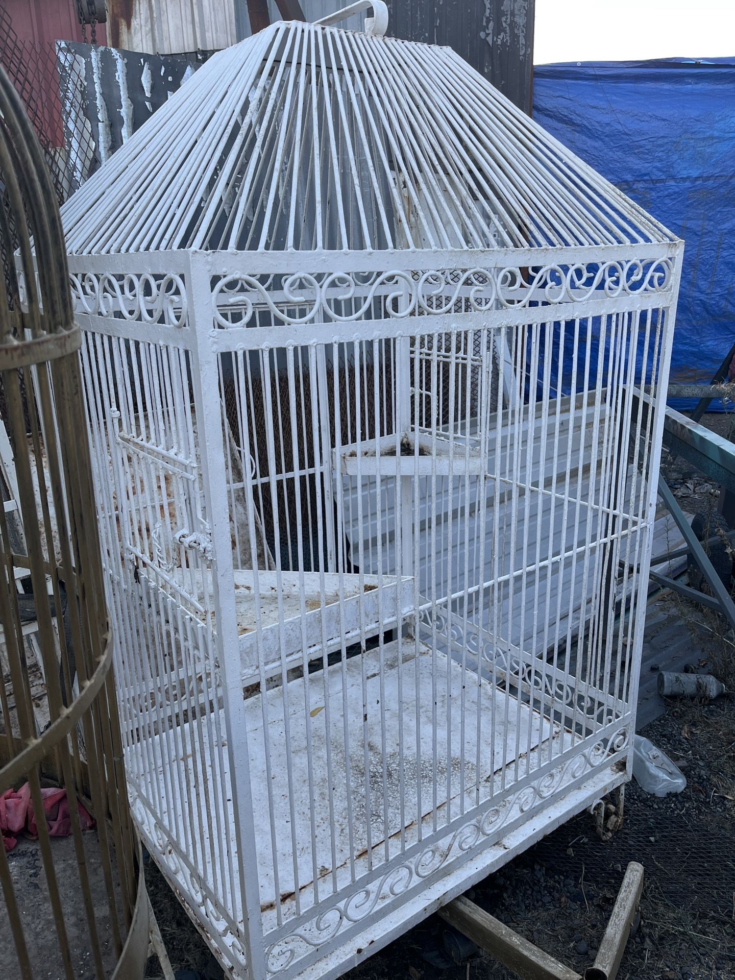 Bird Cage