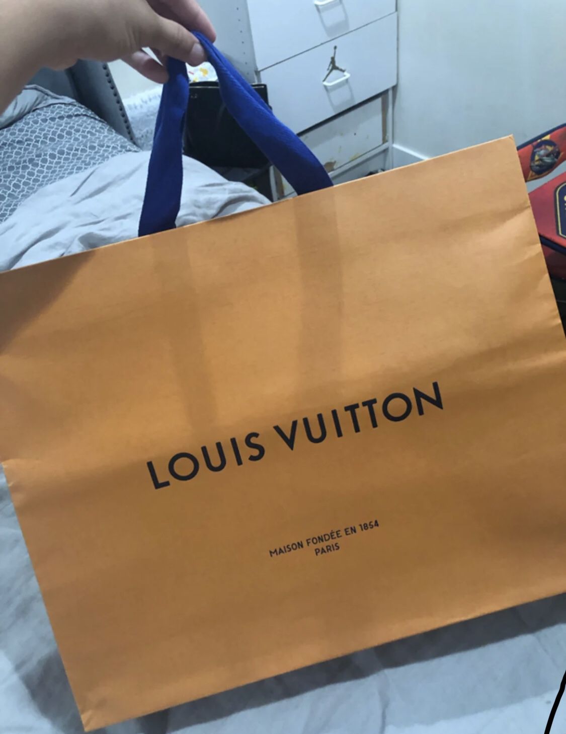 Large Louis Vuitton bag