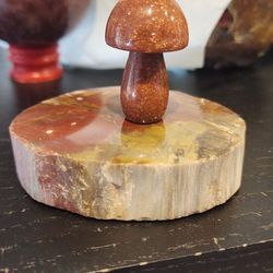 Petrified Wood  Sandstone Mushroom 
