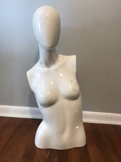 Mannequin Torso