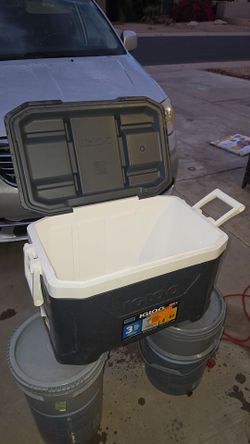 Igloo 47 Qt cooler