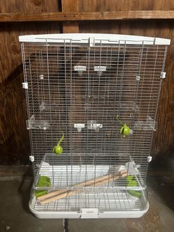 Vision bird cage