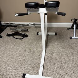 Tricep Dip / Lower Back Raise