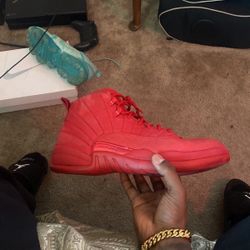 Jordan 12 