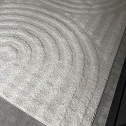 Barletto Shag Area Rug 8 X 10