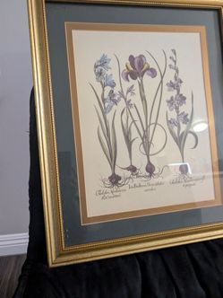 Frame print