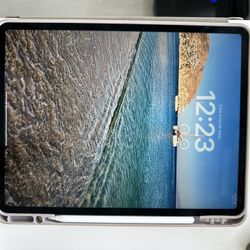 ipad pro 4th gen 12.9 Inch 128gb