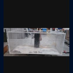 Fish Tank