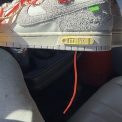 Lot 11 Off White Dunks 