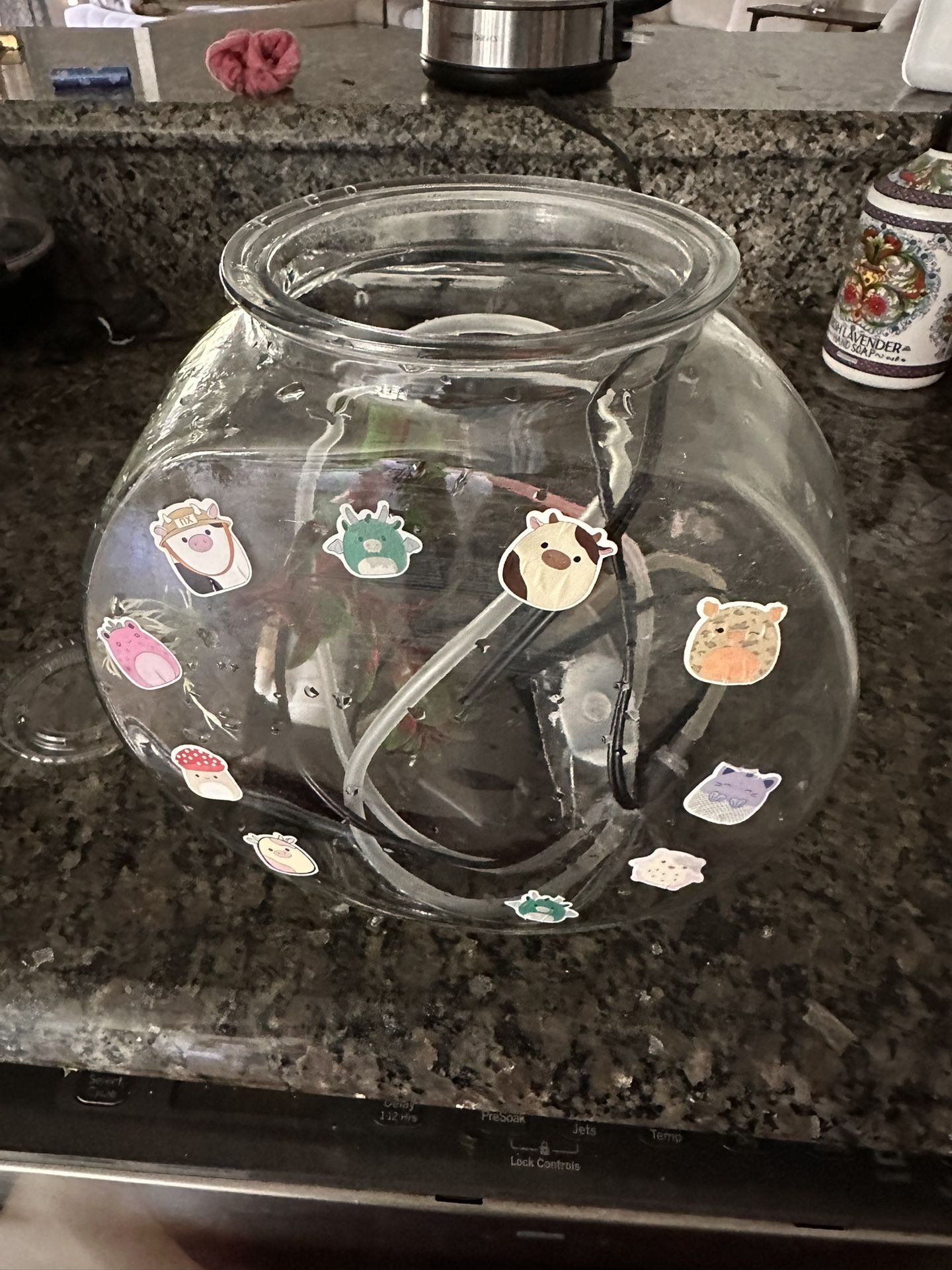 Gallon fish tank - free
