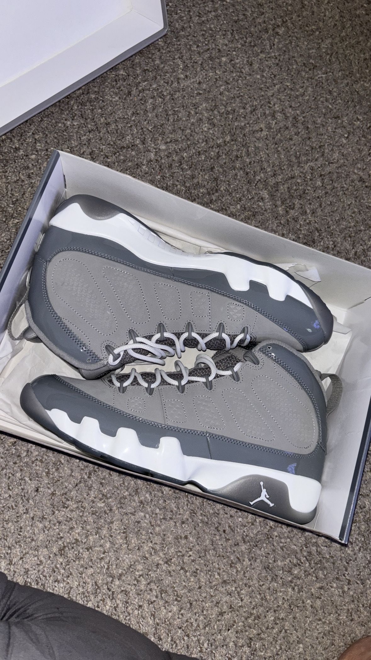 Retro Jordan Cool Grey 9