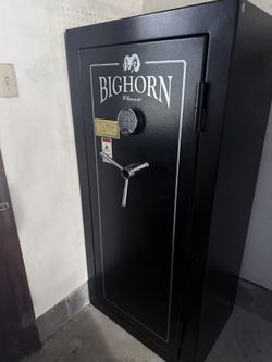 Bighorn Safe